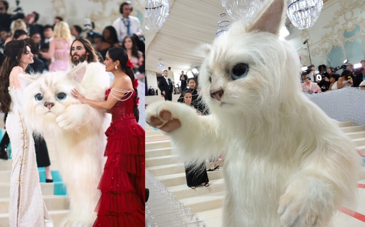 Salama Hayek, Jared Leto y Anne Hathaway | Especial