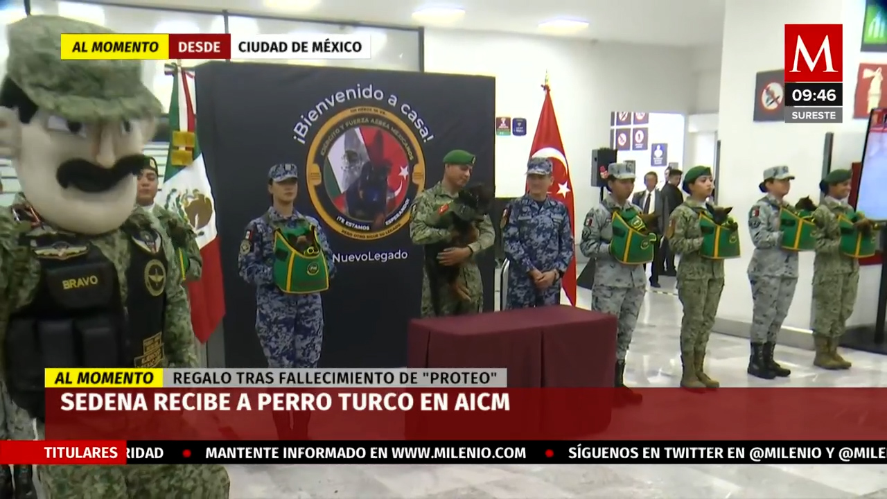 Sedena recibe a perrito rescatista donado por Turquía en el AICM