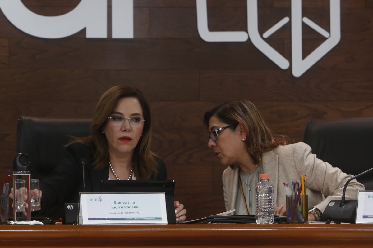 Ibarra dará la defensa por el INAI con todo su empeño | Ariana Pérez, Mileno