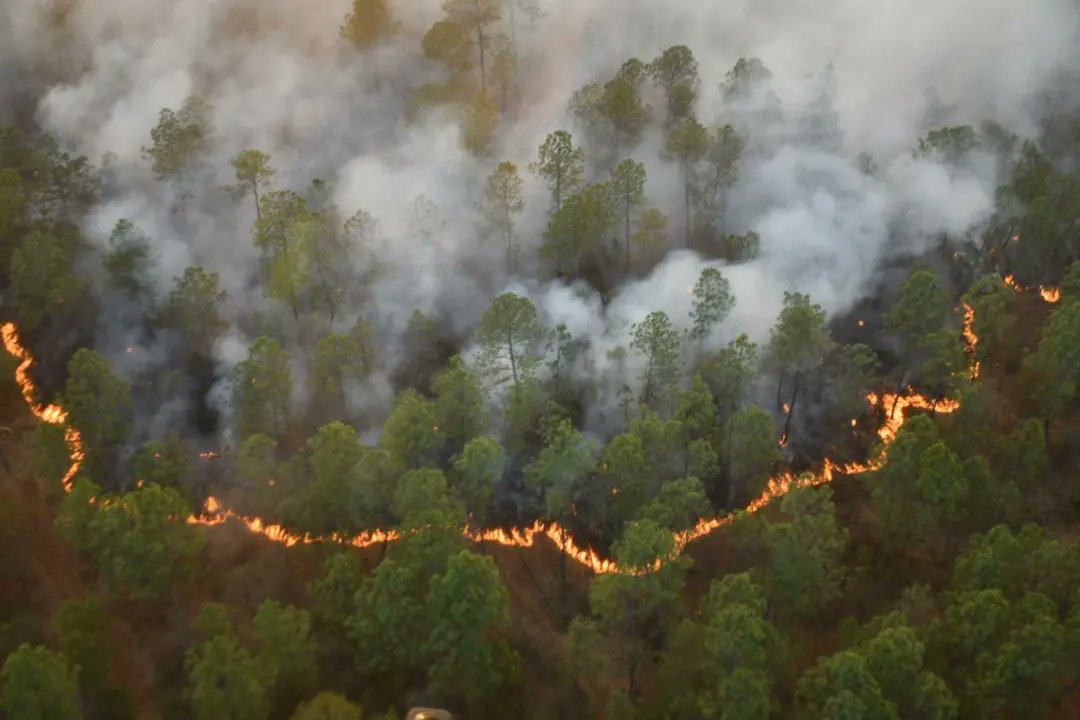 Incendios forestales afectan el sur de Jalisco (Twitter @Israelgaroc)