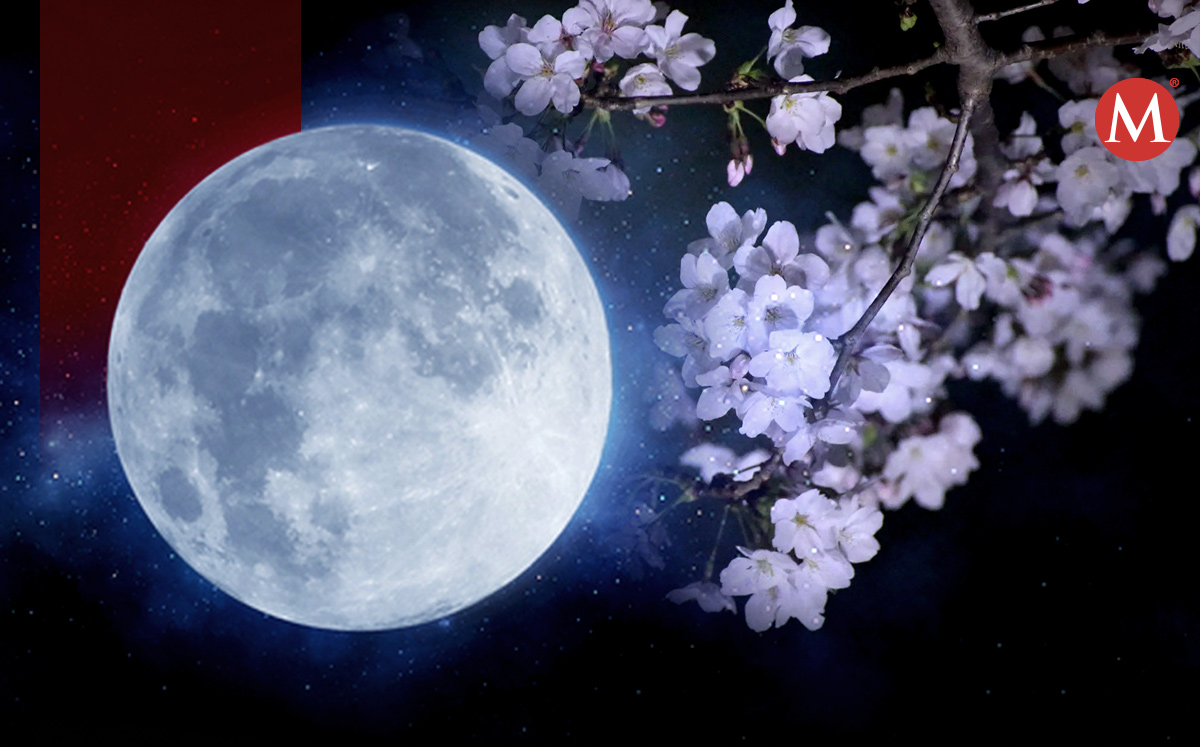Luna de flores| Especial