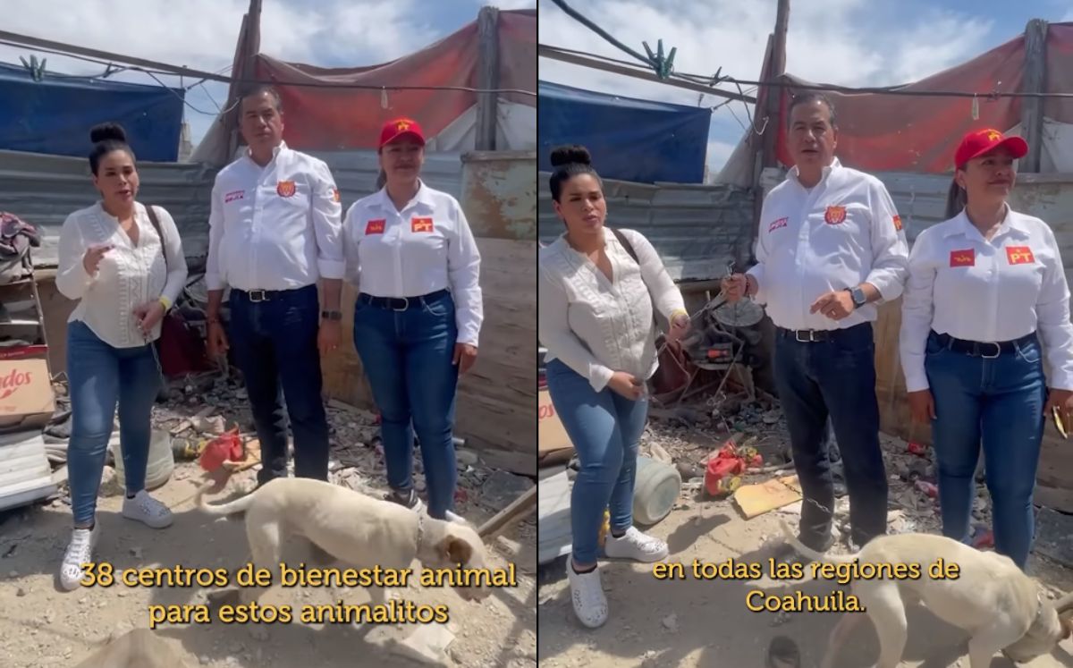 Mejía Berdeja afirma que creará 38 centros de atención animal en Coahuila. | Especial
