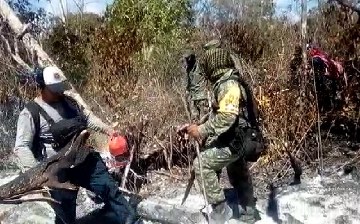 En QRoo, Sedena activa Plan DN III por incendios forestales. | Pablo Vázquez