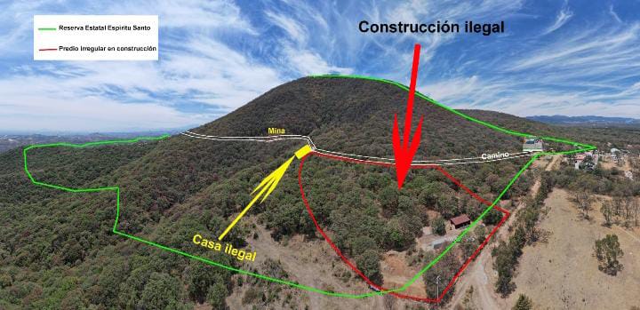 Tala ilegal en Edomex