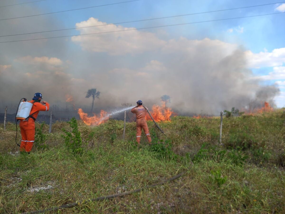 Hasta 90 por ciento de incendios forestales se debe a las actividades humanas. (Especial)