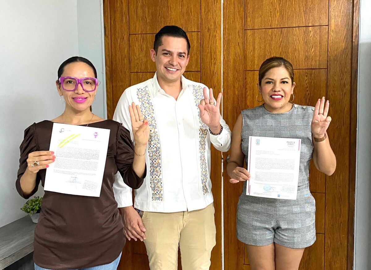 Colectivas entregan a congresos estatales solicitud de aprobación