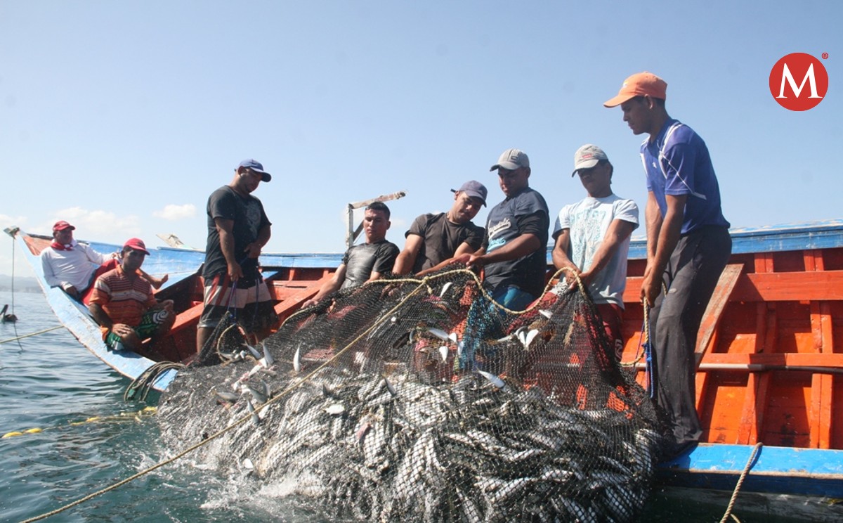 Entregan tarjetas de control a pescadores del norte de Veracruz
