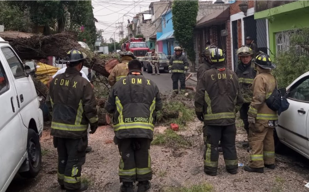 Reportan caída de árboles en Tláhuac e Iztacalco. (@@SGIRPC_CDMX)