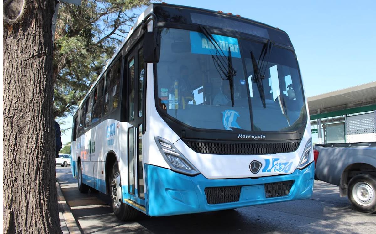 Transporte público de León | Daniela Béjar