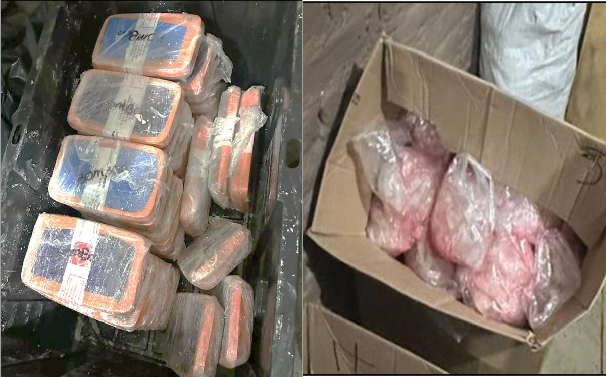 Sedena asegura más de 300 kg de droga en Baja California | Especial