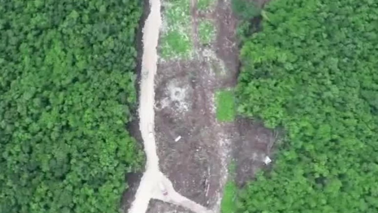 Colectivo 'Sélvame del Tren' denuncia que se han tapado cuevas encontradas en obras del Tren Maya
