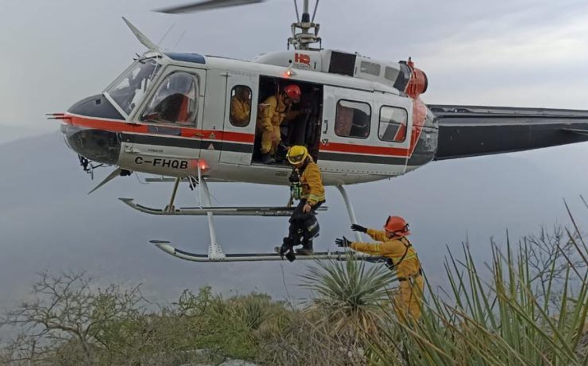 Los incendios han sido provocados aparentemente por actividad eléctrica en la zona. Especial