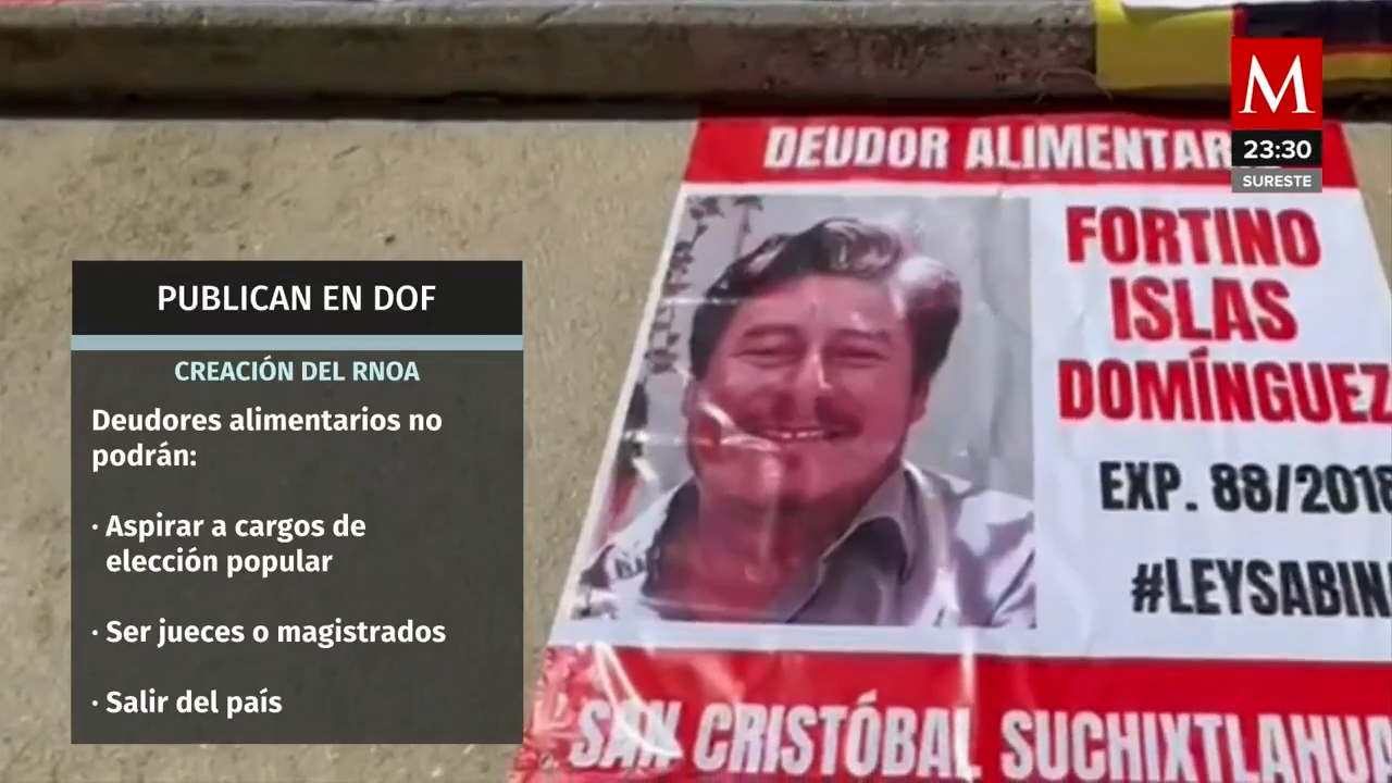 Comisión del Senado avala que deudores alimentarios no sean candidatos