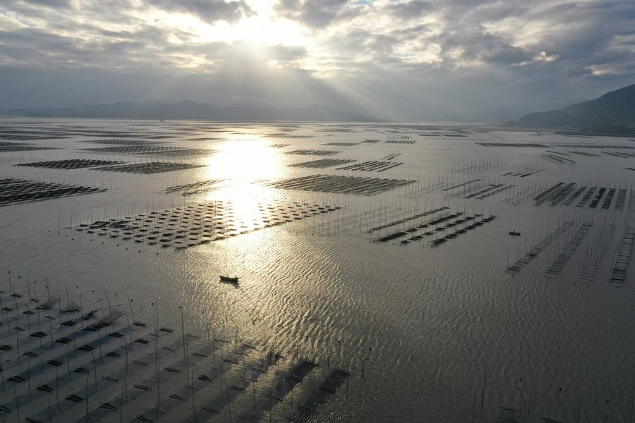 Imagen del 5 de enero de 2023 muestra a pescadores trabajando en un rancho marino en Lianjiang de Fuzhou, provincia de Fujian. (Xinhua/Wang Wangwang)