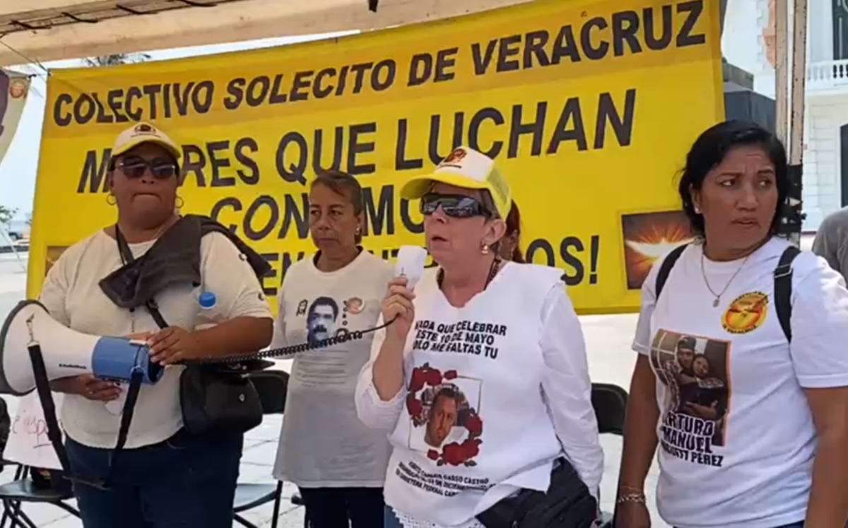 El colectivo Solecito Veracruz informó sobre el hallazgo en los manglares de Alvarado. | Especial