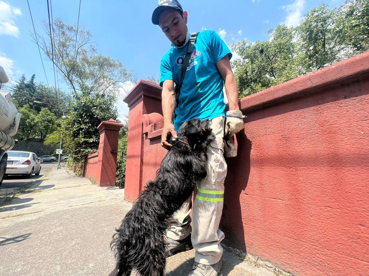 Los empleados no quisieron dejarlo a su suerte, por lo que decidieron adoptarlo para que tuviera una nueva familia. | Especial