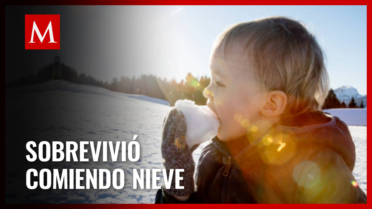 Niño se pierde en un bosque y sobrevive comiendo nieve por dos días