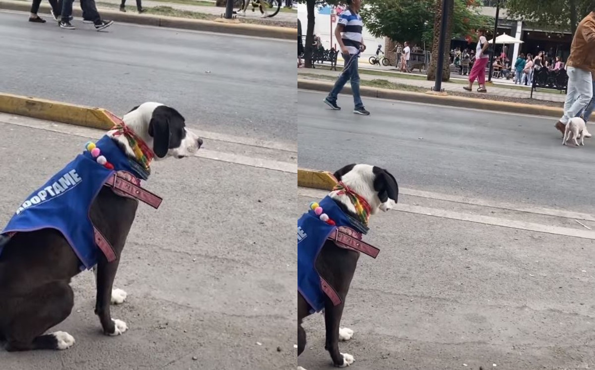 La publicación fue hecha por la página de Facebook 'Kekoa & Amigos'. (Cortesía)