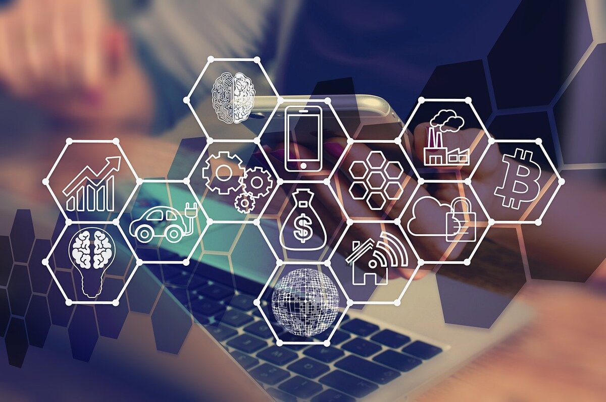 Servicios y productos que se encuentran en Internet (Especial)