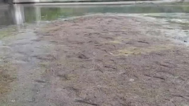 Municipios de Veracruz sufren desabasto de agua, se redujo el envío de un 40%