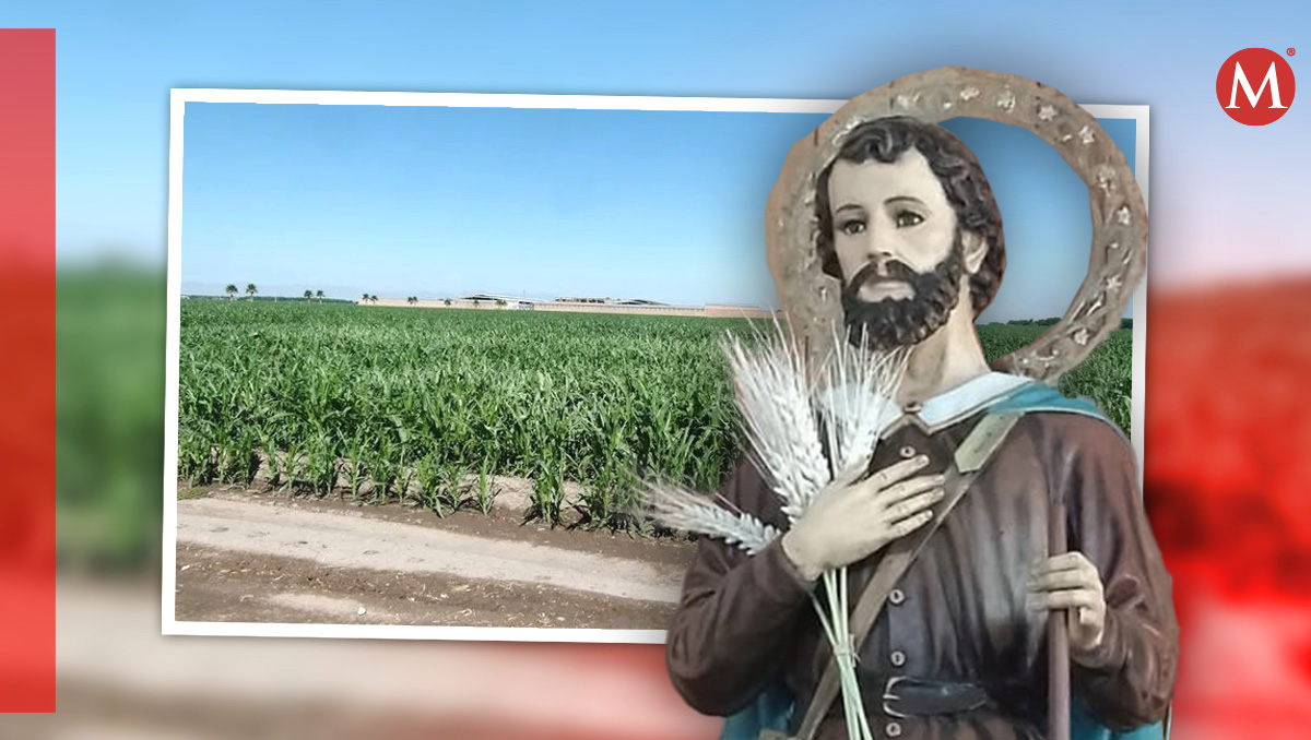 El 15 de mayo es el día de San Isidro Labrado, patrono de los agricultores. | Especial