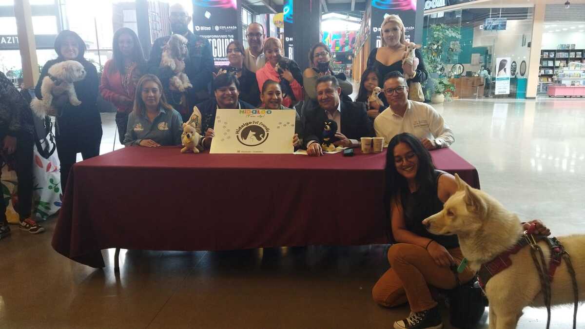 Elizabeth Quintanar manifestó su intención de crear estos espacios para potenciar el mercado de turistas que salen de paseo con sus mascotas