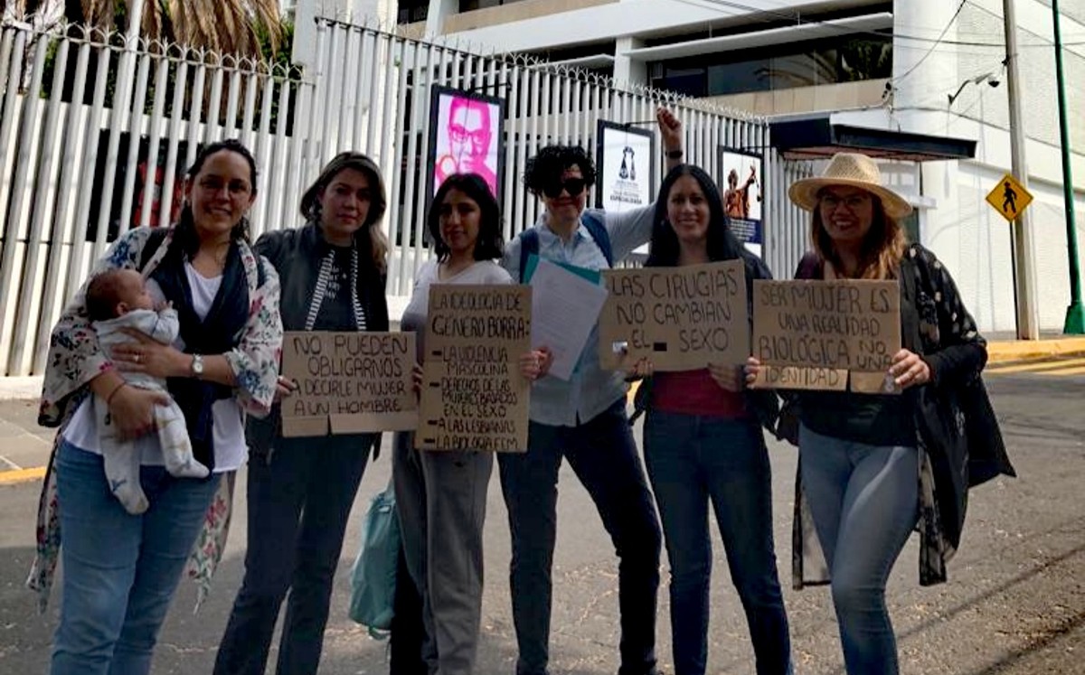 Feministas presentan queja por fallo del TEPJF sobre violencia de género | Especial