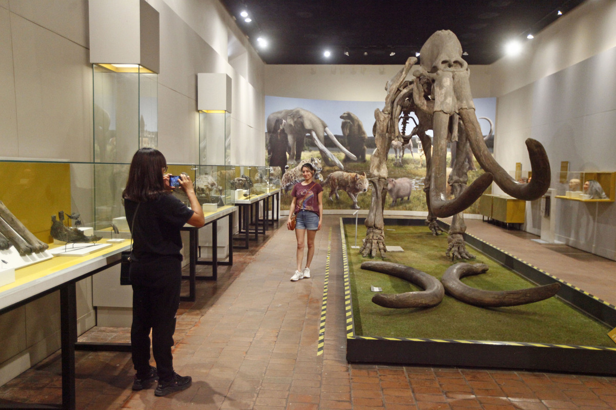 Museo de Paleontología. (Fernando Carranza)