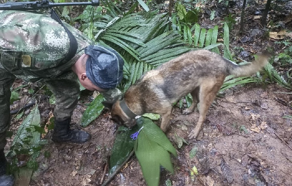 Los niños fueron hallados gracias a perros rastreadores (AFP)