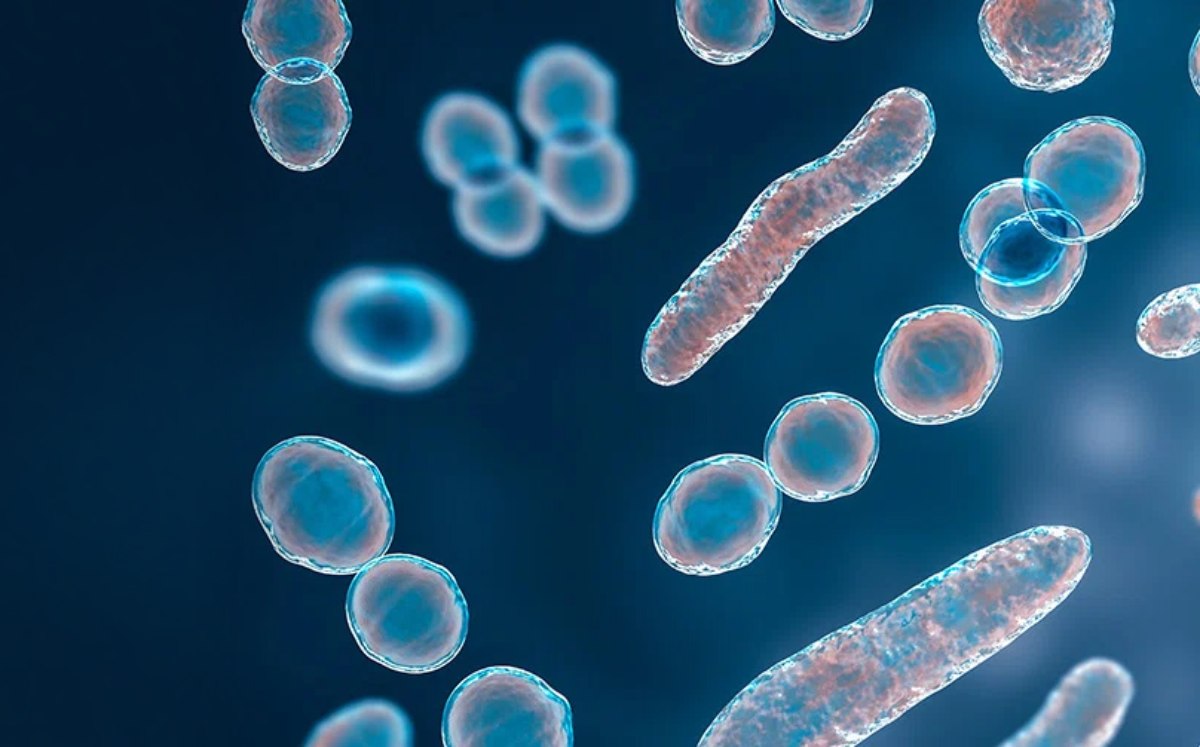 Resistencia Antimicrobiana | Especial