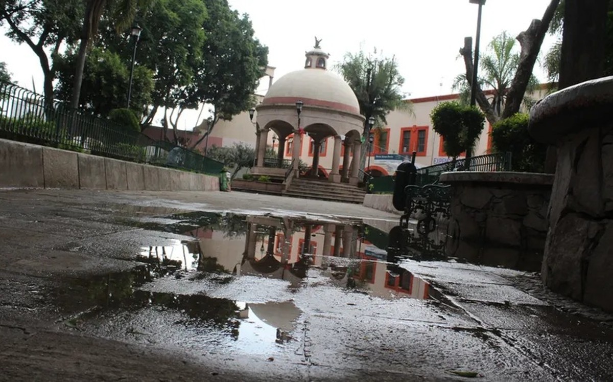 Tradicional Barrio Arriba en León | Daniela Béjar