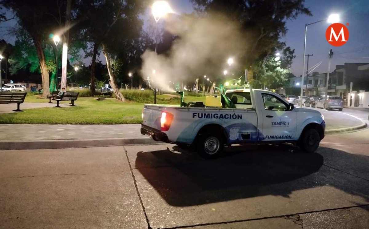 Va Tampico con fumigación a colonias ante paro de Vectores
