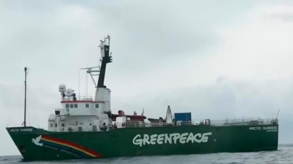 Greenpeace encuentra arrecifes a 80 metros de profundidad en el Golfo de México