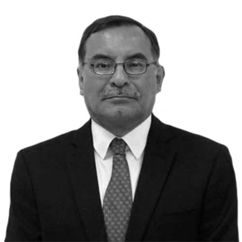 Salvador Herrera Toledano