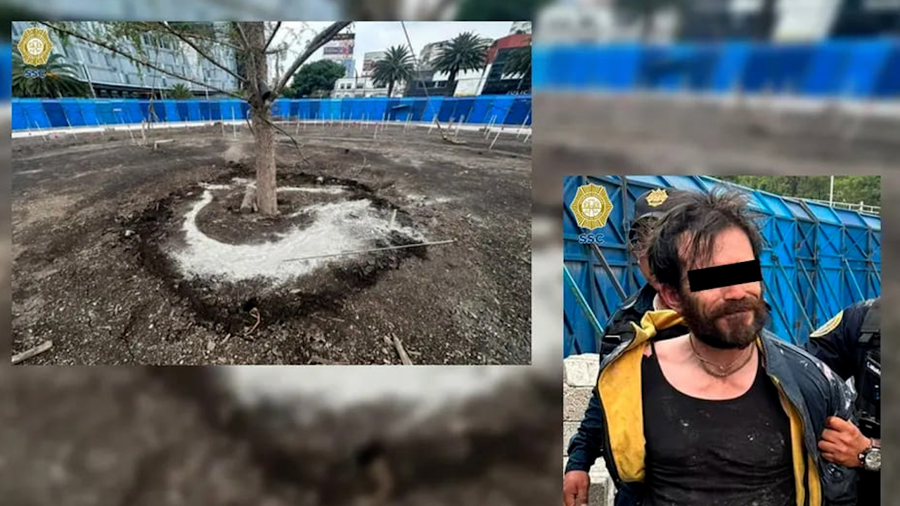 Hombre ingresa a Glorieta del Ahuehuete e intenta dañar el nuevo árbol