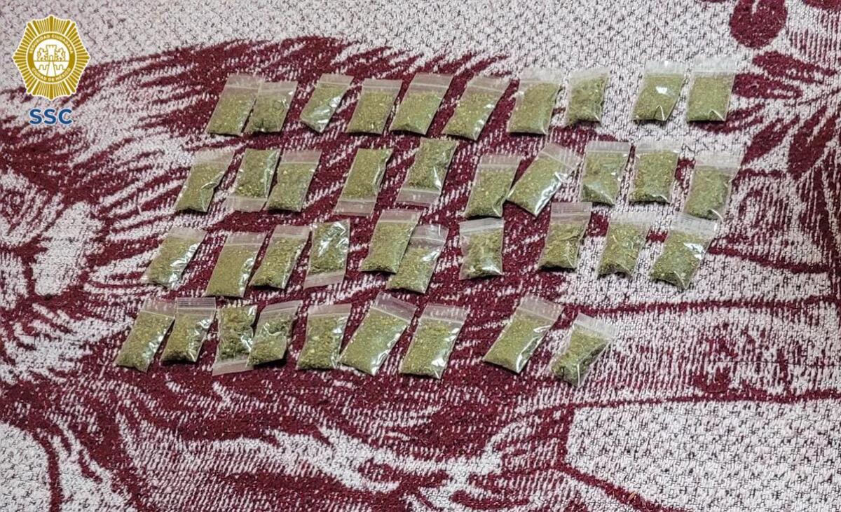 Fueron incautadas 39 bolsas de una hierba similar a al mariguana. | Especial