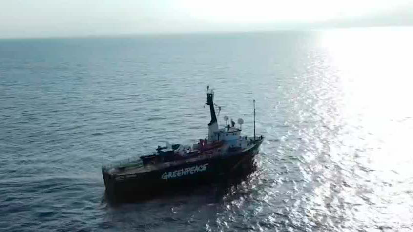 Así fue la investigación de Greenpeace en el Golfo de México | Notivox Hábitat