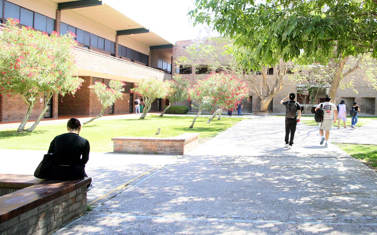 En La Laguna hay 63 instituciones de educación superior. (Martín Piña)