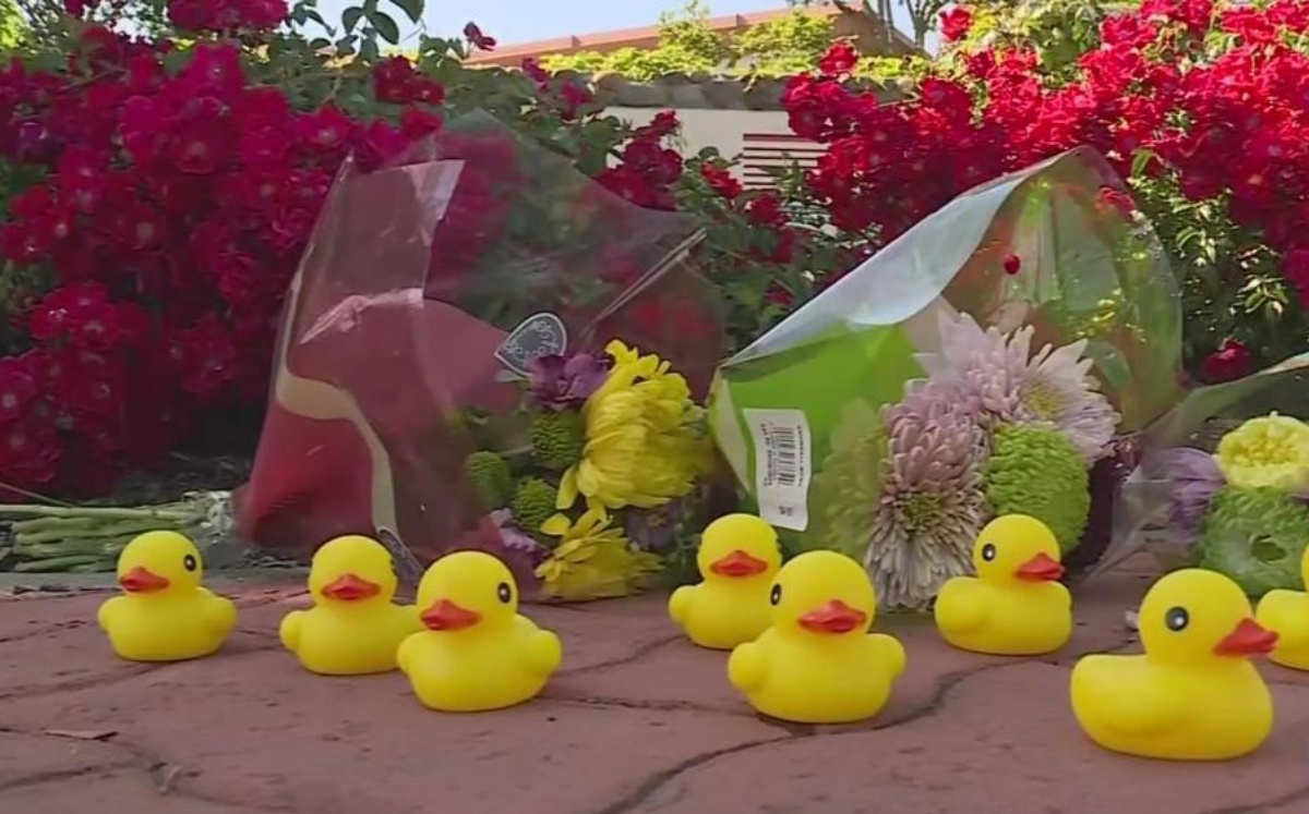 En EU, papá muere atropellado por AYUDAR a patitos a CRUZAR la calle ...