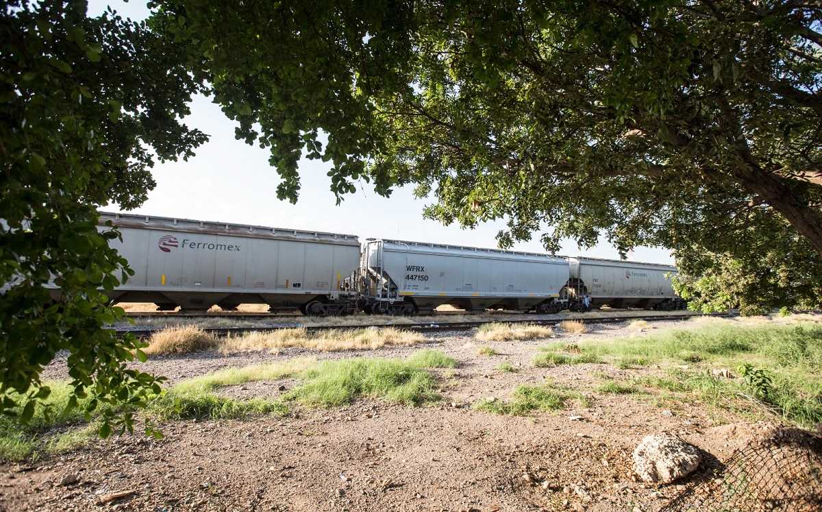 Tren de Ferromex. | Jesús Quintanar