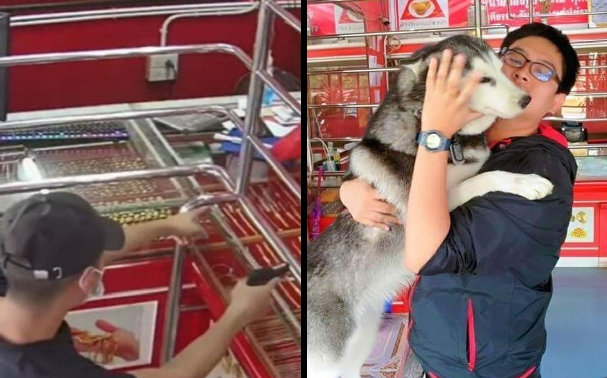 Dueño de perrito Husky lo pone a prueba y falla | ESPECIAL