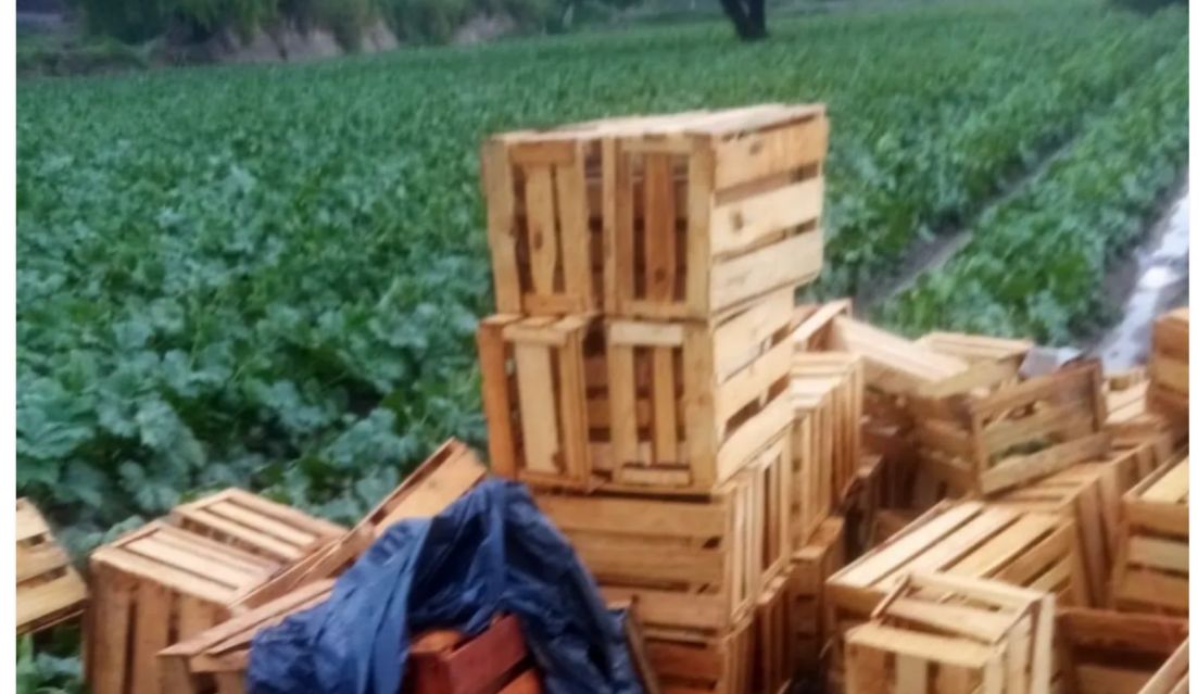 Pareja resultó gravemente herida después de ser alcanzada por un rayo.