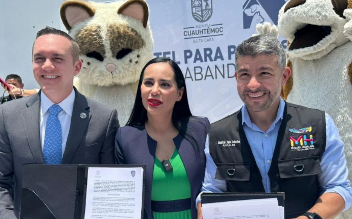 Cuajimalpa, Cuauhtémoc y Miguel Hidalgo firman convenio para ayudar a perros y gatos abandonados. (Especial)
