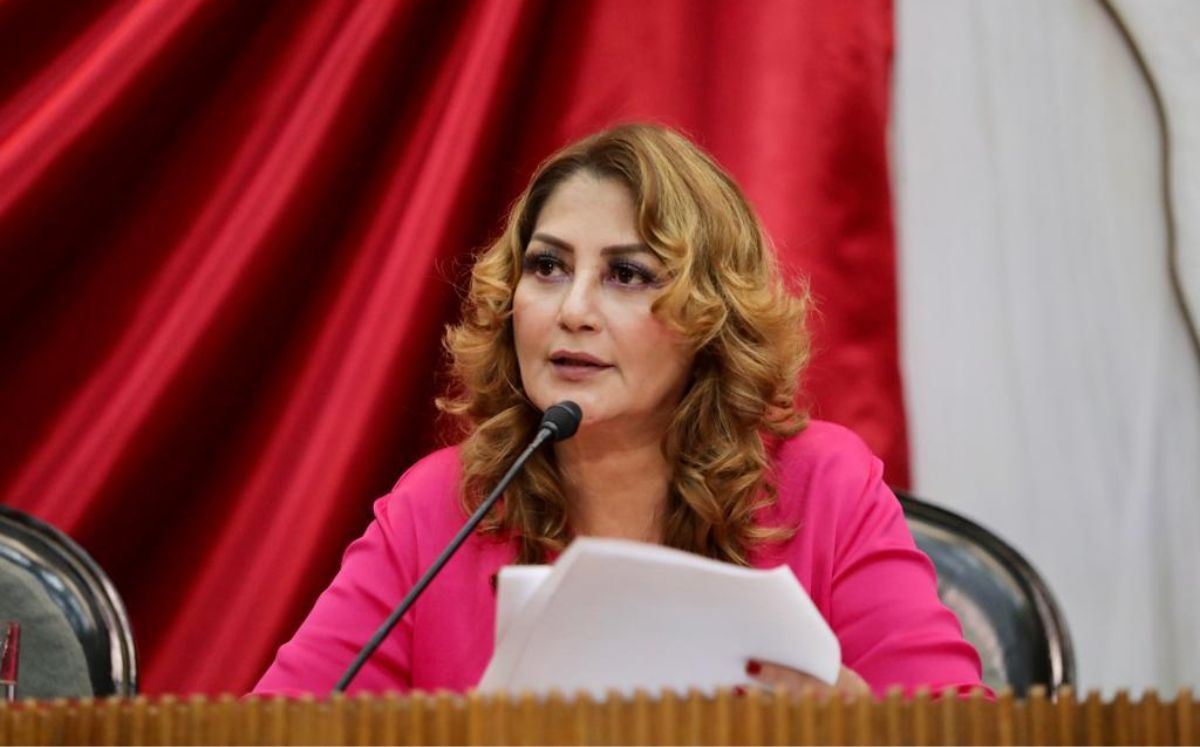 Gabriela Govea, presidenta de la Comisión de Salud. Especial