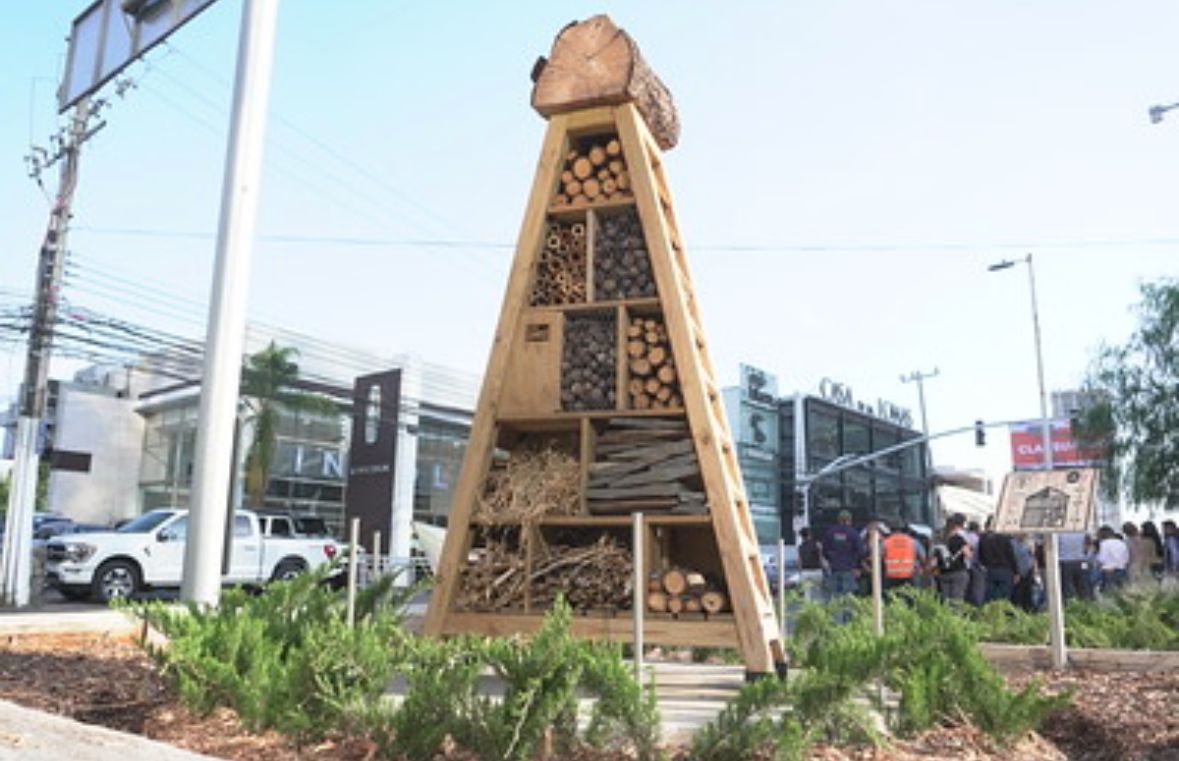 Zapopan instala el jardín polinizador más grande del AMG. (Cortesía)
