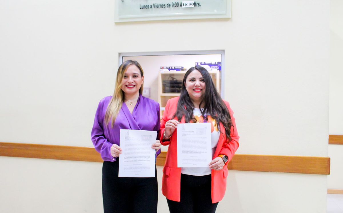 Con la propuesta se busca poner un límite máximo de tres meses para la evaluación psicológica y socioeconómica. Especial