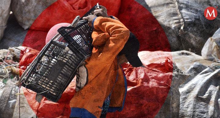 Los recicladores voluntarios deben estar censados.