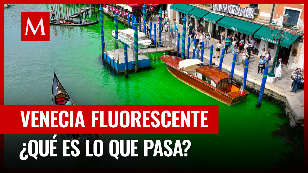 Aguas del Gran Canal de Venecia se tiñen de verde; autoridades ya investigan la causa