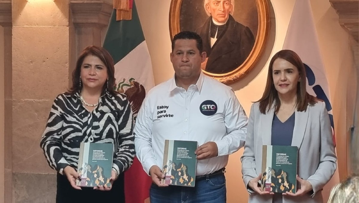 Conavim alerta por alza en desapariciones y muertes violentas de mujeres en Guanajuato. | Especial