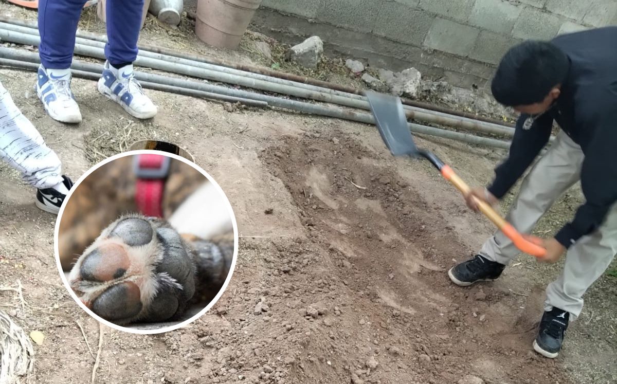 Entierro de perrito luego de fallecer tras machetazos en Villa Juárez, Durango. | Especial